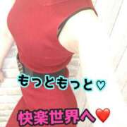 ヒメ日記 2025/02/24 22:15 投稿 あおい 御奉仕関係 -淑女の秘め事-