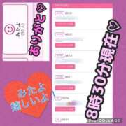 ヒメ日記 2025/02/27 08:44 投稿 あおい 御奉仕関係 -淑女の秘め事-