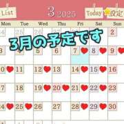 ヒメ日記 2025/03/07 08:11 投稿 あおい 御奉仕関係 -淑女の秘め事-