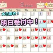 ヒメ日記 2025/03/08 07:42 投稿 あおい 御奉仕関係 -淑女の秘め事-