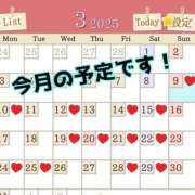 ヒメ日記 2025/03/09 08:08 投稿 あおい 御奉仕関係 -淑女の秘め事-