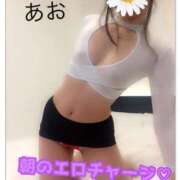 ヒメ日記 2025/03/11 10:01 投稿 あおい 御奉仕関係 -淑女の秘め事-