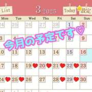 ヒメ日記 2025/03/16 08:07 投稿 あおい 御奉仕関係 -淑女の秘め事-