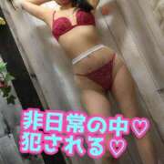 ヒメ日記 2025/03/20 22:15 投稿 あおい 御奉仕関係 -淑女の秘め事-