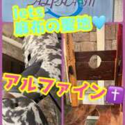 ヒメ日記 2025/03/21 21:15 投稿 あおい 御奉仕関係 -淑女の秘め事-