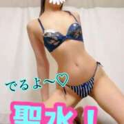 ヒメ日記 2025/04/08 12:03 投稿 あおい 御奉仕関係 -淑女の秘め事-