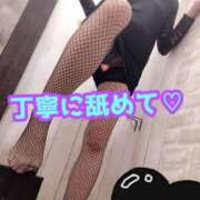 ヒメ日記 2025/04/09 10:30 投稿 あおい 御奉仕関係 -淑女の秘め事-