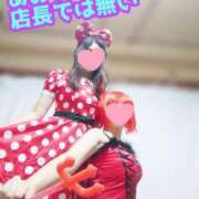 ヒメ日記 2025/04/15 14:30 投稿 あおい 御奉仕関係 -淑女の秘め事-