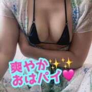 ヒメ日記 2025/04/16 09:00 投稿 あおい 御奉仕関係 -淑女の秘め事-