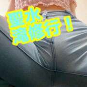 ヒメ日記 2025/04/18 12:31 投稿 あおい 御奉仕関係 -淑女の秘め事-