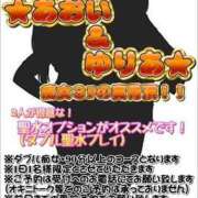 ヒメ日記 2025/04/23 09:15 投稿 あおい 御奉仕関係 -淑女の秘め事-