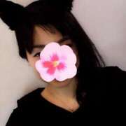 ヒメ日記 2025/04/29 14:30 投稿 あおい 御奉仕関係 -淑女の秘め事-