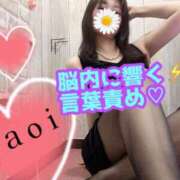 ヒメ日記 2025/05/02 20:15 投稿 あおい 御奉仕関係 -淑女の秘め事-