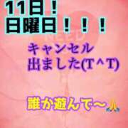ヒメ日記 2025/05/10 17:15 投稿 あおい 御奉仕関係 -淑女の秘め事-