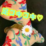 ヒメ日記 2025/05/10 18:30 投稿 あおい 御奉仕関係 -淑女の秘め事-