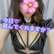 ヒメ日記 2025/05/11 01:00 投稿 あおい 御奉仕関係 -淑女の秘め事-