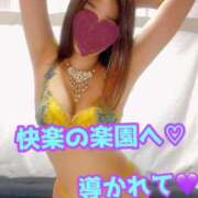 ヒメ日記 2025/06/08 10:30 投稿 あおい 御奉仕関係 -淑女の秘め事-