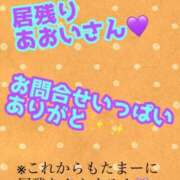 ヒメ日記 2025/06/12 03:00 投稿 あおい 御奉仕関係 -淑女の秘め事-