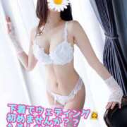 ヒメ日記 2025/06/12 10:45 投稿 あおい 御奉仕関係 -淑女の秘め事-