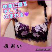 ヒメ日記 2025/06/22 21:15 投稿 あおい 御奉仕関係 -淑女の秘め事-