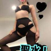 ヒメ日記 2025/06/30 17:15 投稿 あおい 御奉仕関係 -淑女の秘め事-