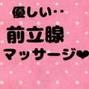 ヒメ日記 2025/07/08 01:15 投稿 あおい 御奉仕関係 -淑女の秘め事-