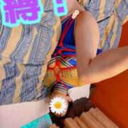 ヒメ日記 2025/07/08 16:45 投稿 あおい 御奉仕関係 -淑女の秘め事-