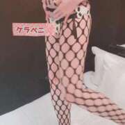 ヒメ日記 2025/07/12 09:15 投稿 あおい 御奉仕関係 -淑女の秘め事-