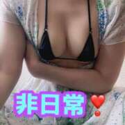 ヒメ日記 2025/07/15 11:01 投稿 あおい 御奉仕関係 -淑女の秘め事-