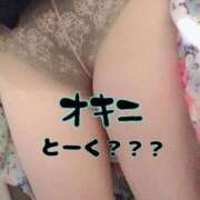 ヒメ日記 2025/08/02 01:15 投稿 あおい 御奉仕関係 -淑女の秘め事-