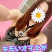 ヒメ日記 2025/08/13 15:15 投稿 あおい 御奉仕関係 -淑女の秘め事-