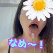 ヒメ日記 2025/08/14 19:15 投稿 あおい 御奉仕関係 -淑女の秘め事-