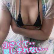 ヒメ日記 2025/08/29 15:15 投稿 あおい 御奉仕関係 -淑女の秘め事-