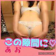 ヒメ日記 2025/09/10 18:15 投稿 あおい 御奉仕関係 -淑女の秘め事-