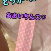 ヒメ日記 2025/09/11 00:30 投稿 あおい 御奉仕関係 -淑女の秘め事-