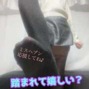 ヒメ日記 2025/09/15 15:15 投稿 あおい 御奉仕関係 -淑女の秘め事-