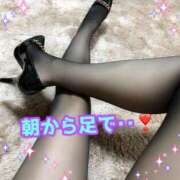 ヒメ日記 2025/09/21 09:45 投稿 あおい 御奉仕関係 -淑女の秘め事-