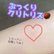 ヒメ日記 2025/10/01 15:00 投稿 あおい 御奉仕関係 -淑女の秘め事-