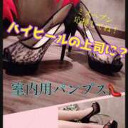 ヒメ日記 2025/10/05 20:15 投稿 あおい 御奉仕関係 -淑女の秘め事-