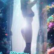 ヒメ日記 2025/10/12 00:30 投稿 あおい 御奉仕関係 -淑女の秘め事-