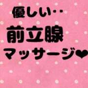 ヒメ日記 2025/10/23 16:45 投稿 あおい 御奉仕関係 -淑女の秘め事-