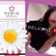 ヒメ日記 2025/10/26 18:15 投稿 あおい 御奉仕関係 -淑女の秘め事-