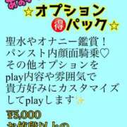 ヒメ日記 2025/10/27 15:15 投稿 あおい 御奉仕関係 -淑女の秘め事-