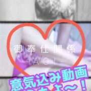 ヒメ日記 2025/10/31 12:31 投稿 あおい 御奉仕関係 -淑女の秘め事-