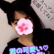 ヒメ日記 2025/11/02 21:45 投稿 あおい 御奉仕関係 -淑女の秘め事-