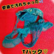 ヒメ日記 2025/11/10 00:45 投稿 あおい 御奉仕関係 -淑女の秘め事-