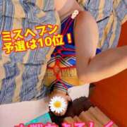 ヒメ日記 2025/11/13 08:45 投稿 あおい 御奉仕関係 -淑女の秘め事-