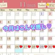 ヒメ日記 2025/11/26 08:45 投稿 あおい 御奉仕関係 -淑女の秘め事-