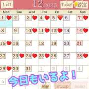 ヒメ日記 2025/11/30 10:15 投稿 あおい 御奉仕関係 -淑女の秘め事-