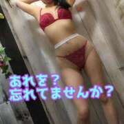 ヒメ日記 2025/12/31 16:45 投稿 あおい 御奉仕関係 -淑女の秘め事-